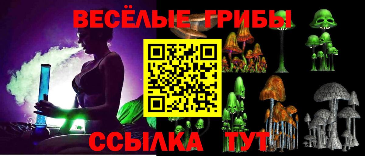 Жигулёвск  Галлюциногенные грибы Psilocybine cubensis  Вход с VPN 