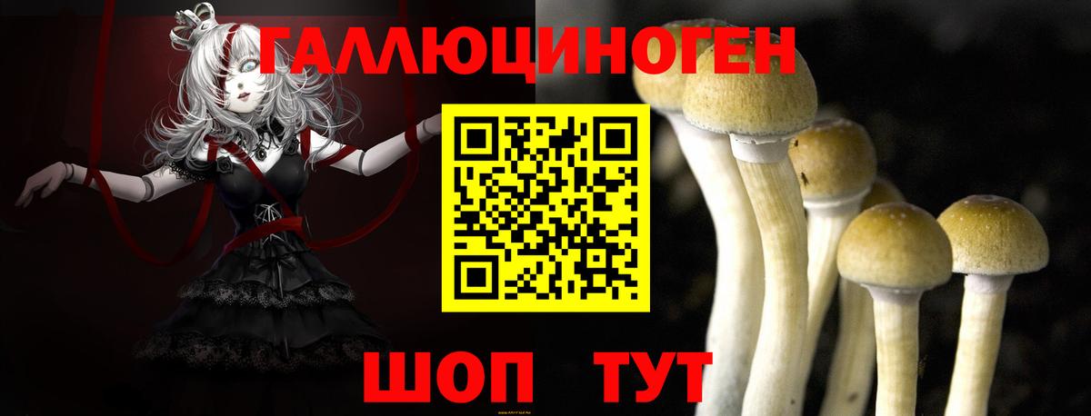Псилоцибиновые грибы Psilocybine cubensis Жигулёвск